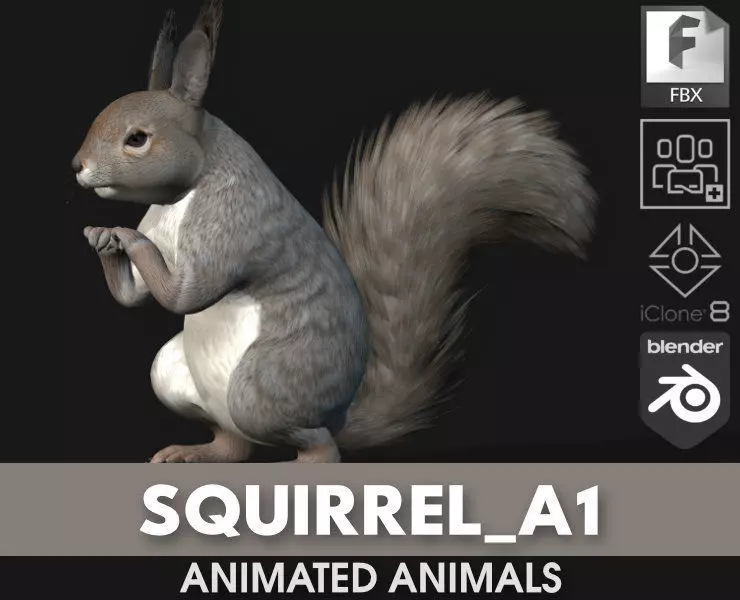 Squirrel-A1 3D model_0