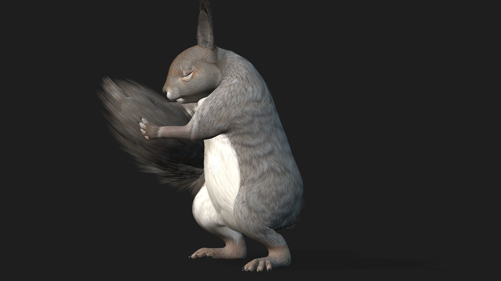 Squirrel-A1 3D model_13