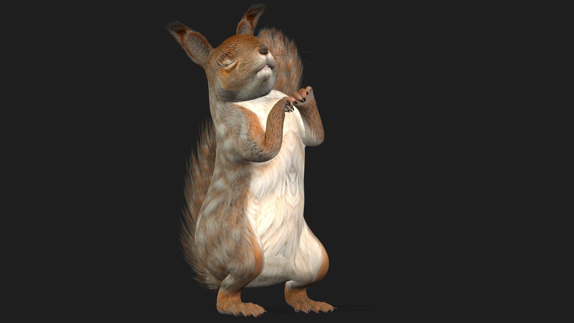 Squirrel-A3 3D model_16