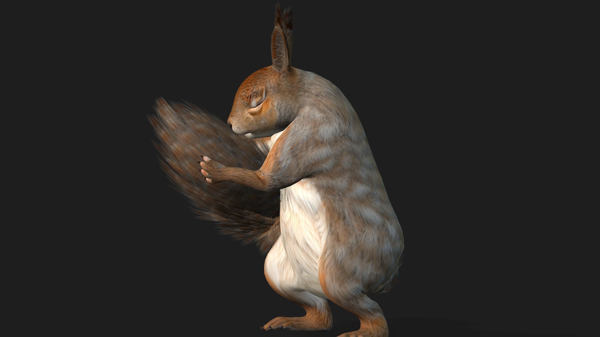 Squirrel-A3 3D model_5