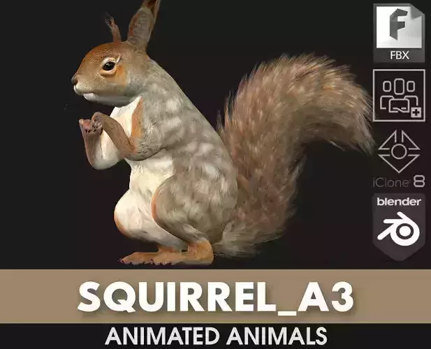 Squirrel-A3