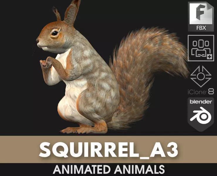 Squirrel-A3 3D model_0