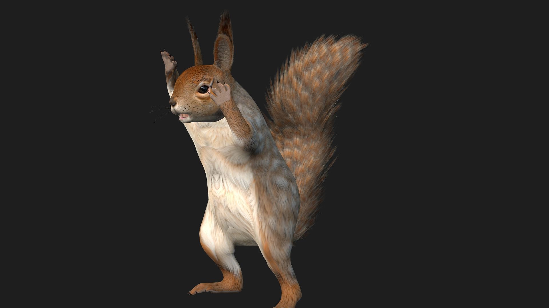 Squirrel-A3 3D model_14