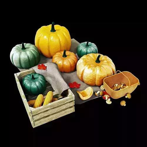 pumpkin autumn harvest 3D model