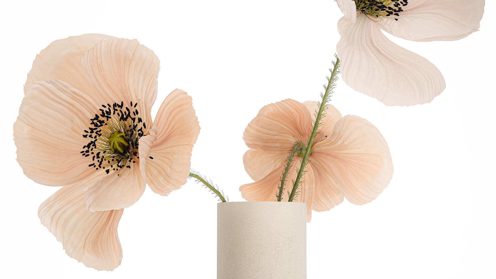 Beautiful Bouquet Of Beautiful Wild Flowers Poppy 468 3D model_2
