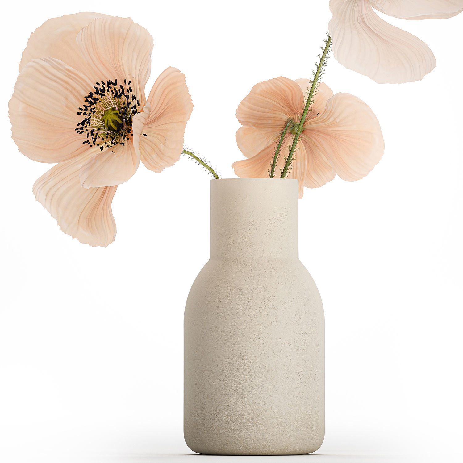 Beautiful Bouquet Of Beautiful Wild Flowers Poppy 468 3D model_9