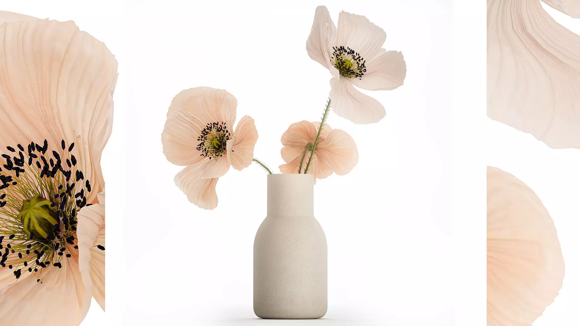 Beautiful Bouquet Of Beautiful Wild Flowers Poppy 468 3D model_0