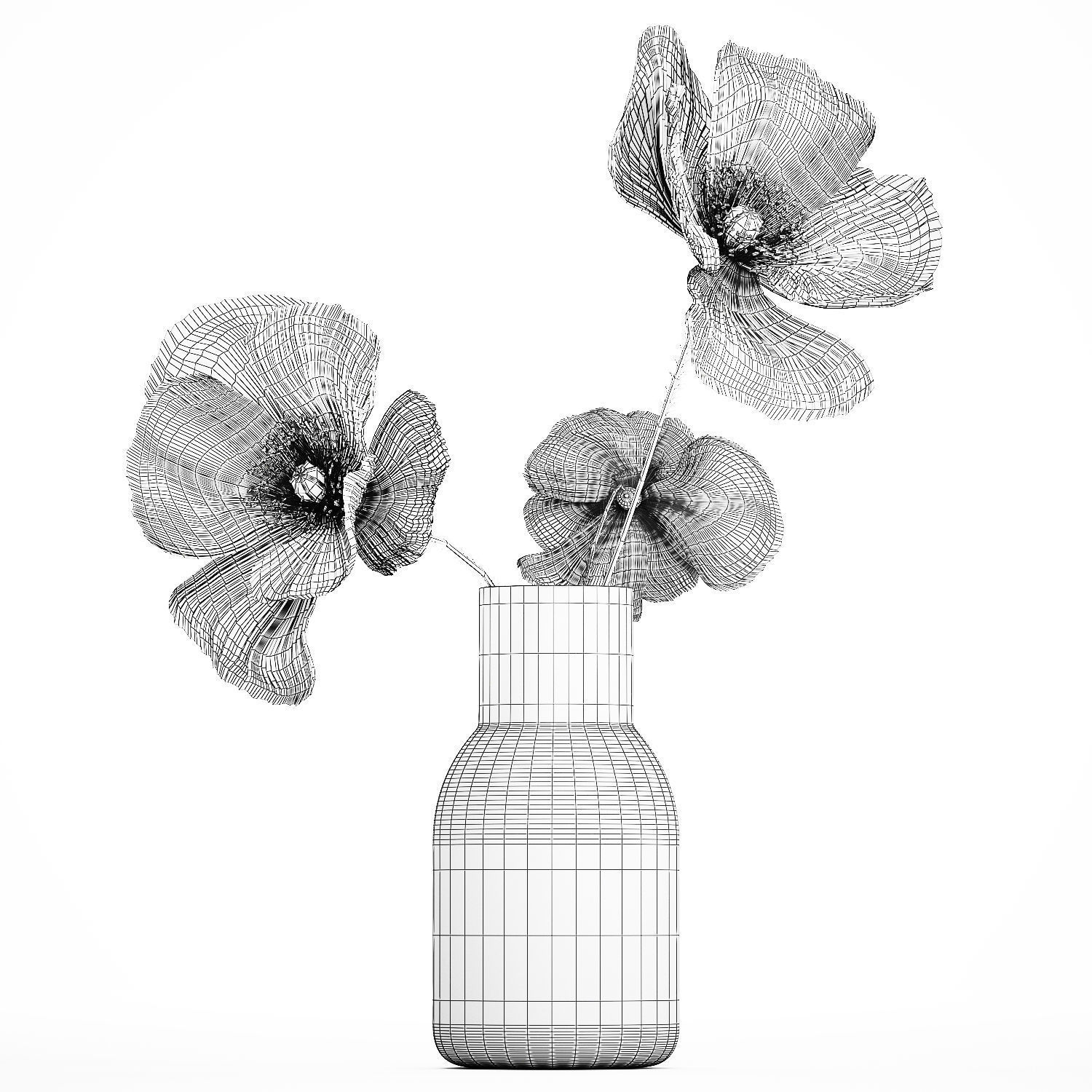 Beautiful Bouquet Of Beautiful Wild Flowers Poppy 468 3D model_12