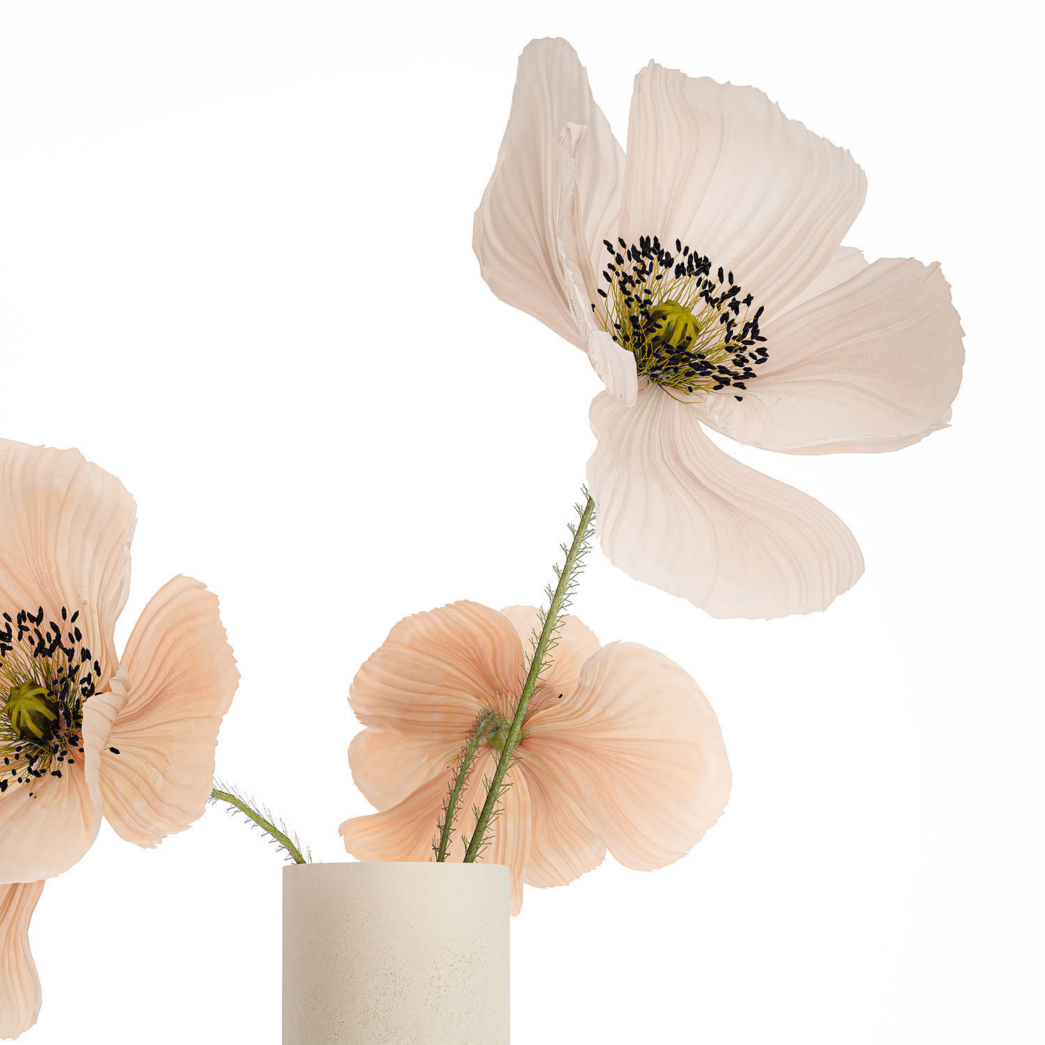 Beautiful Bouquet Of Beautiful Wild Flowers Poppy 468 3D model_8