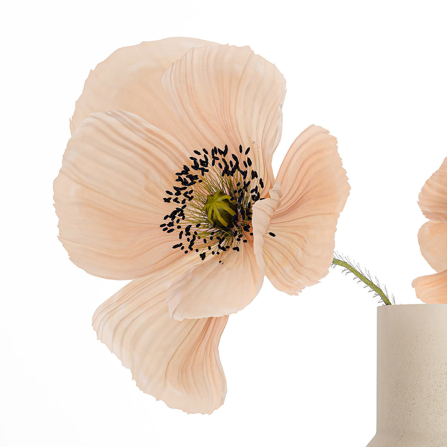 Beautiful Bouquet Of Beautiful Wild Flowers Poppy 468 3D model_11