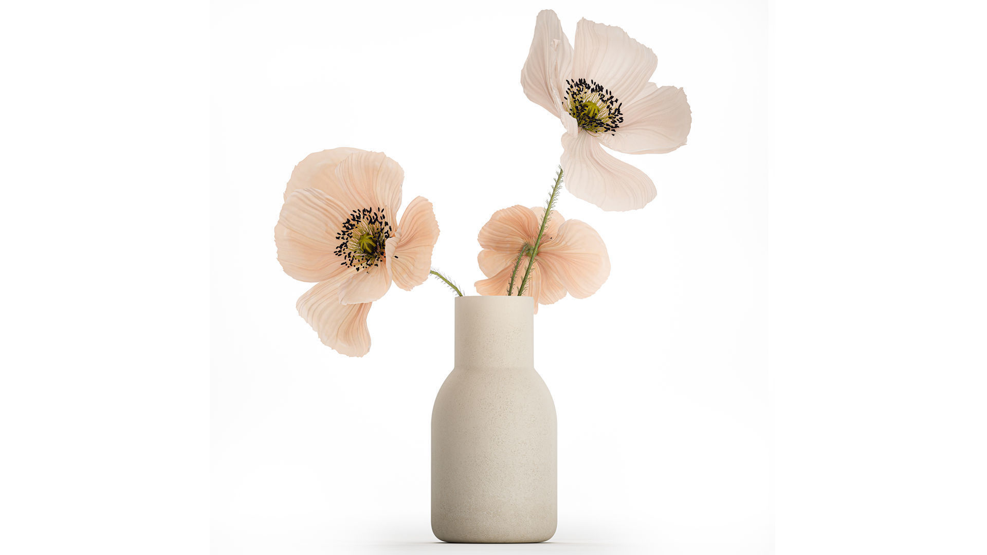 Beautiful Bouquet Of Beautiful Wild Flowers Poppy 468 3D model_1