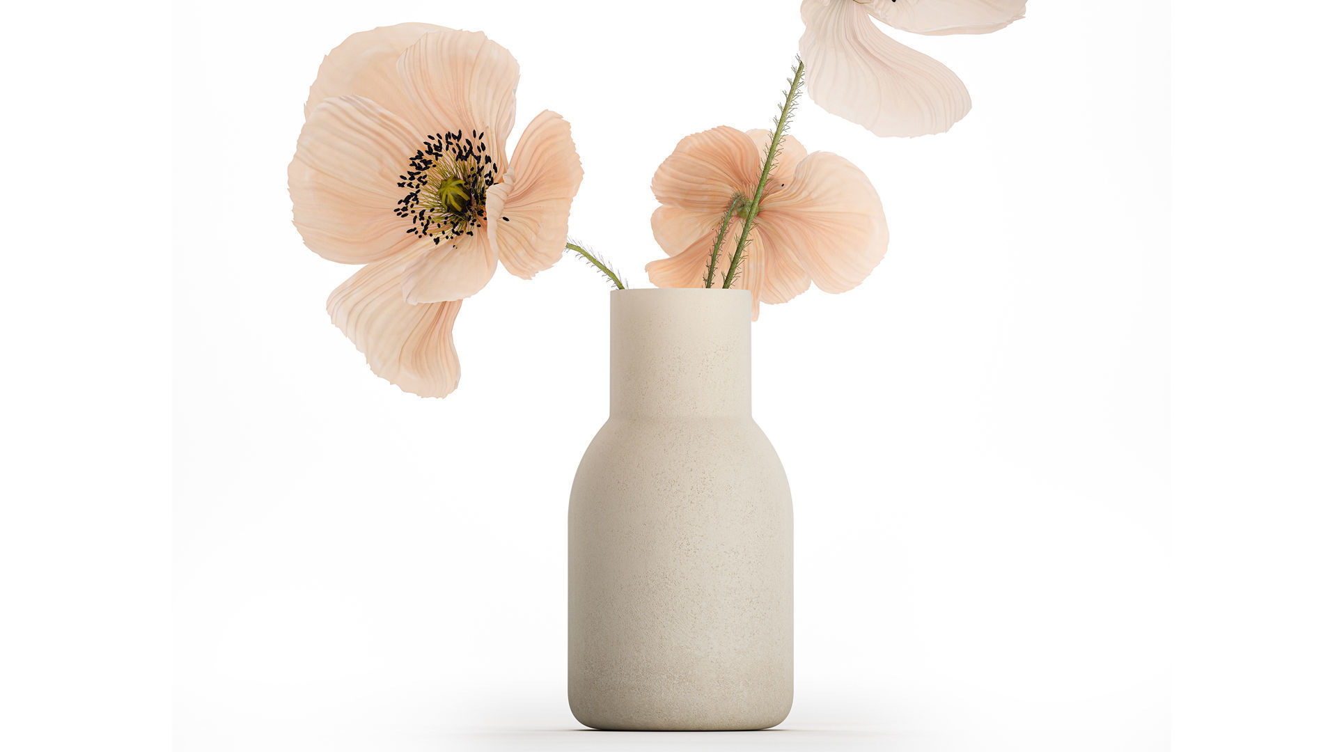 Beautiful Bouquet Of Beautiful Wild Flowers Poppy 468 3D model_5