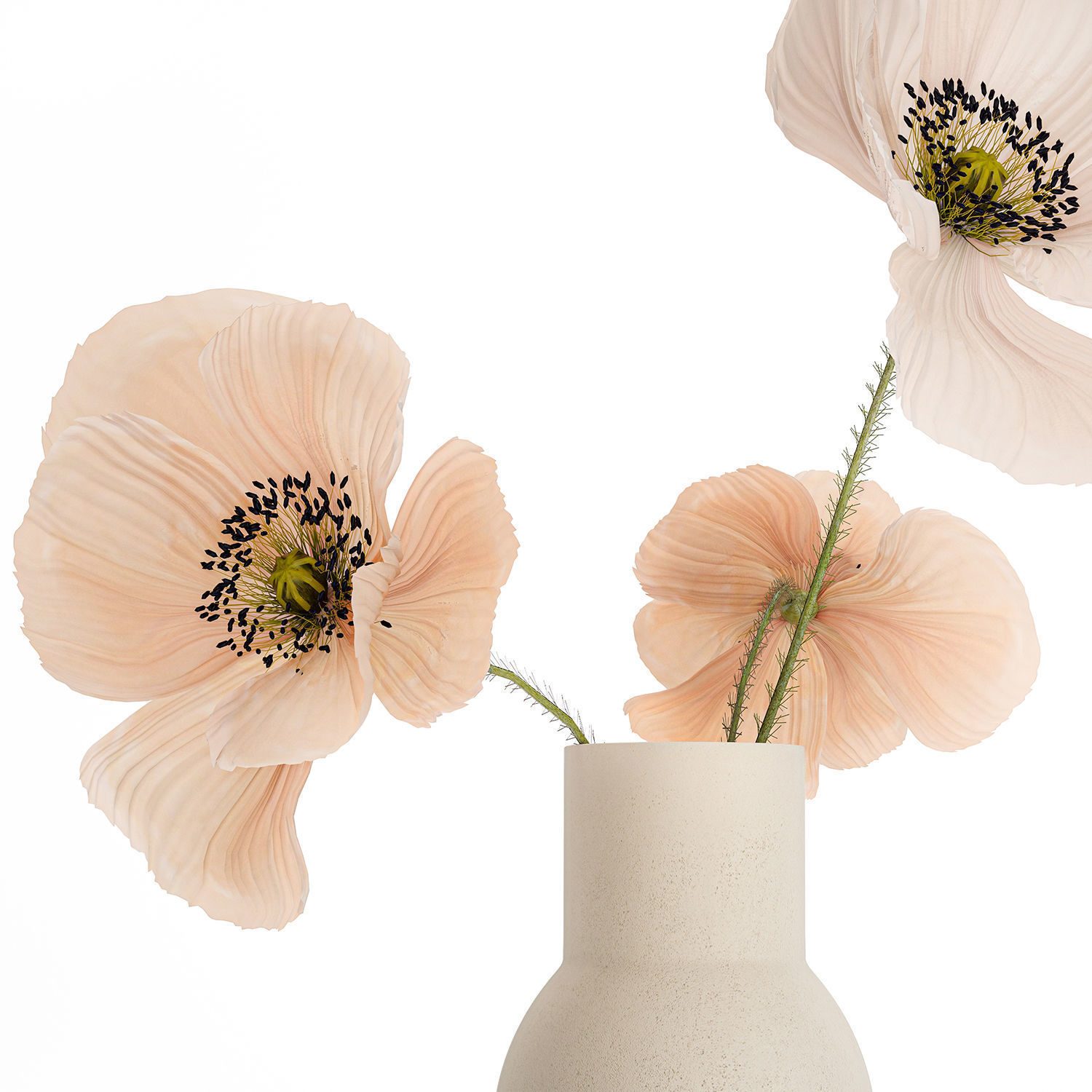 Beautiful Bouquet Of Beautiful Wild Flowers Poppy 468 3D model_10