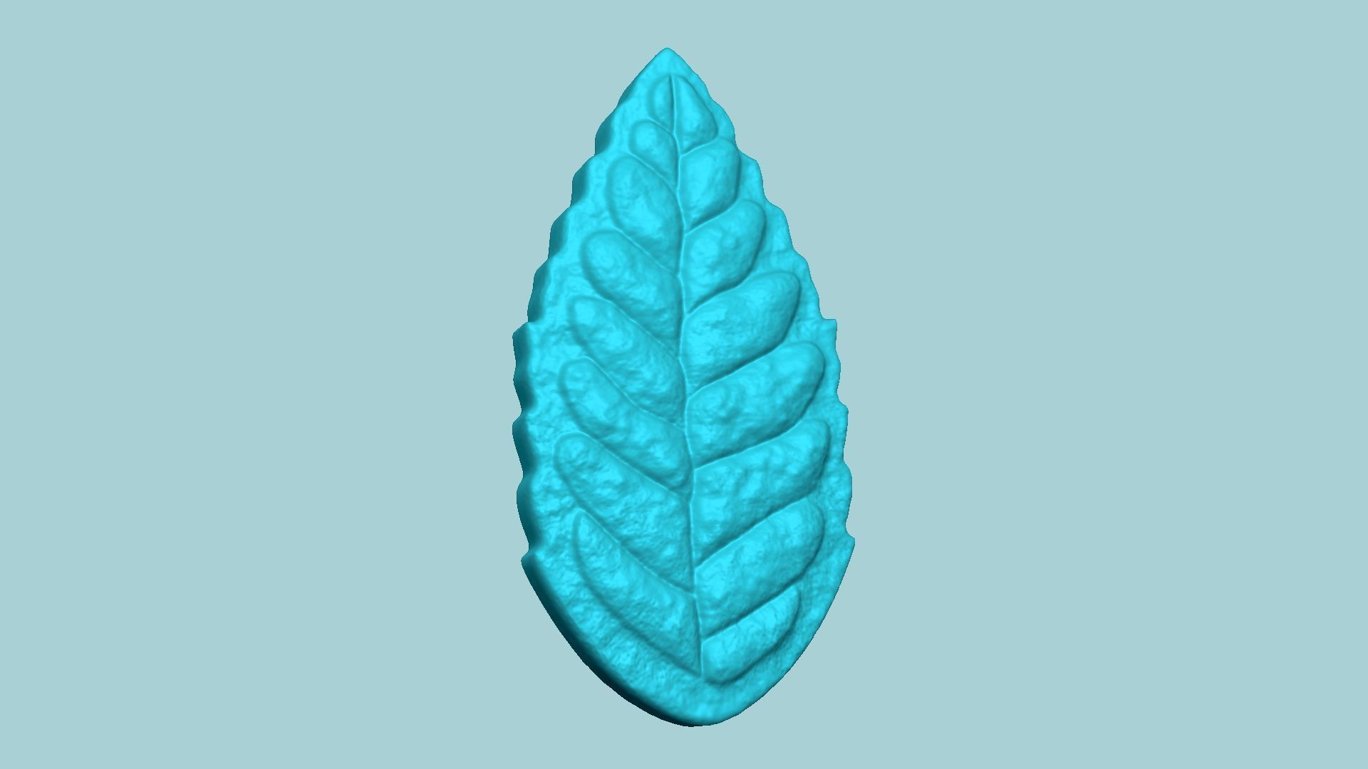 Peppermint Leaf Mold - Artificial Herb Molding Tool 3D print model_1