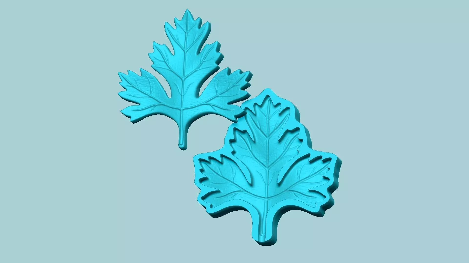 Parsley Leaf Mold - Artificial Herb Molding Tool 3D print model_0