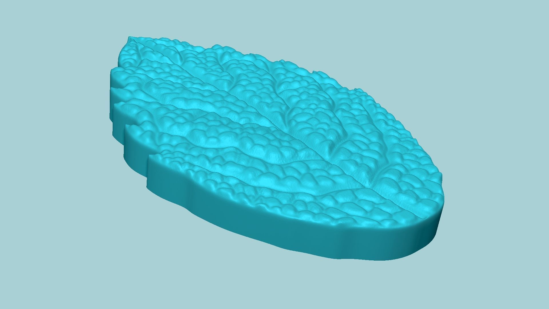 Mint Leaf Mold - Artificial Herb Molding Tool 3D print model_5