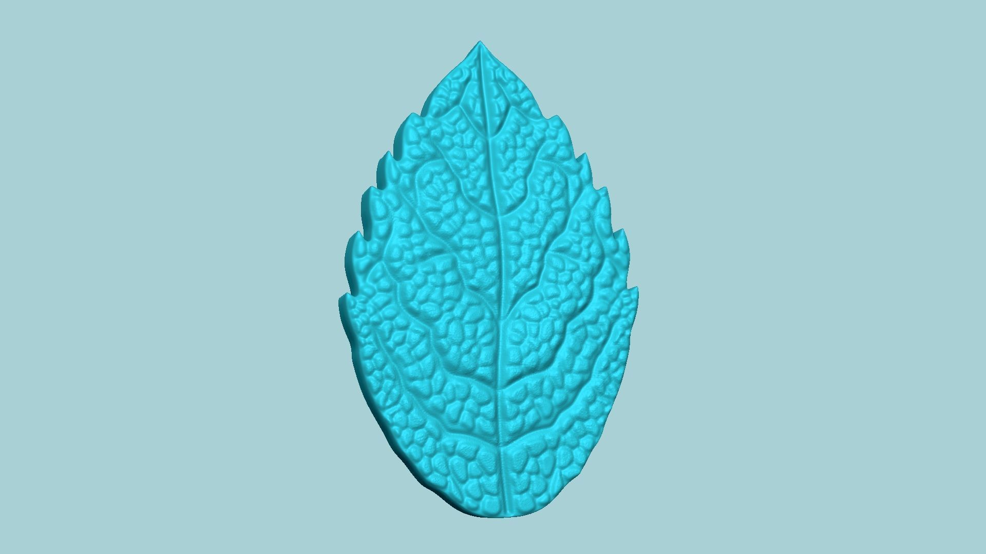 Mint Leaf Mold - Artificial Herb Molding Tool 3D print model_1