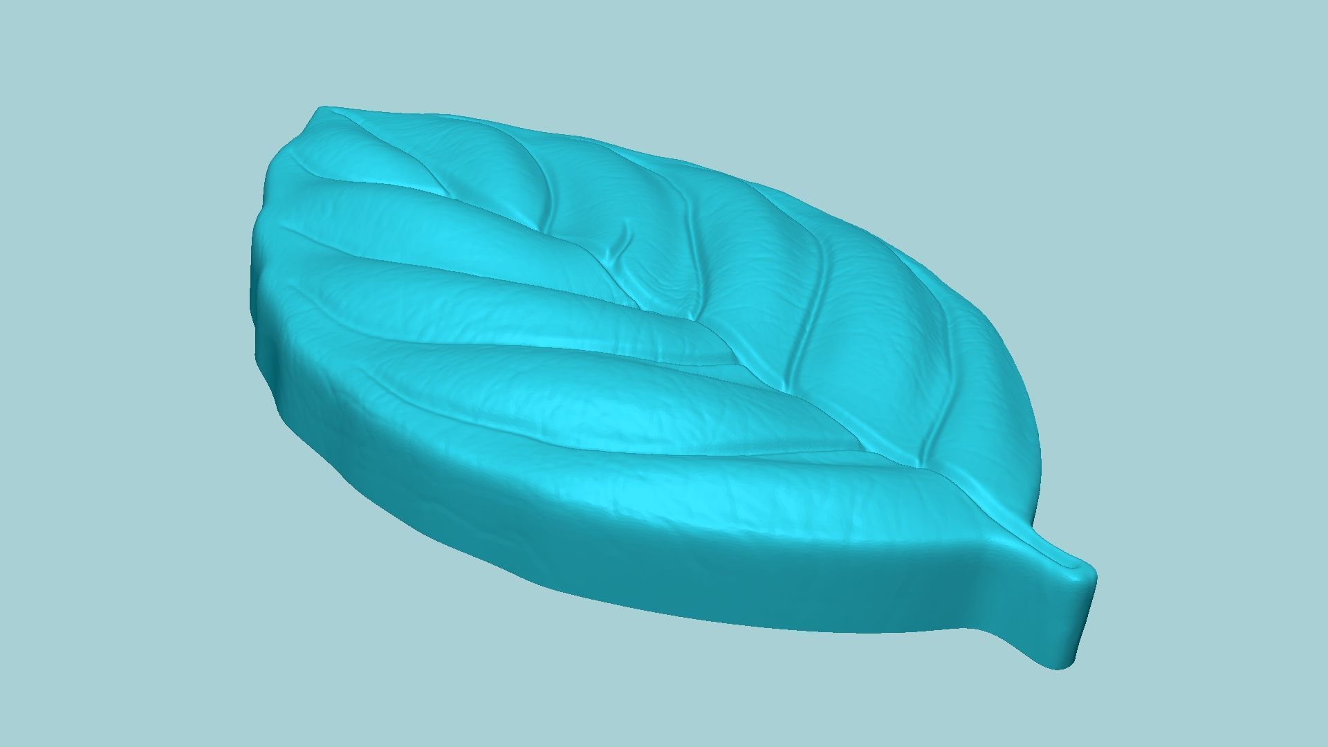 Basil Leaf Mold - Artificial Herb Molding Tool 3D print model_5