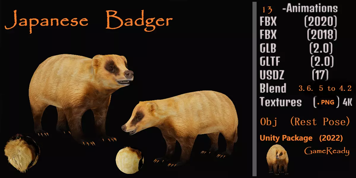 Japanese Badger Low-poly 3D model