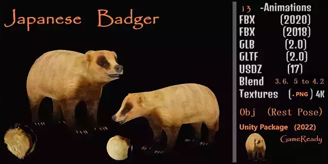 Japanese Badger Low-poly 3D model