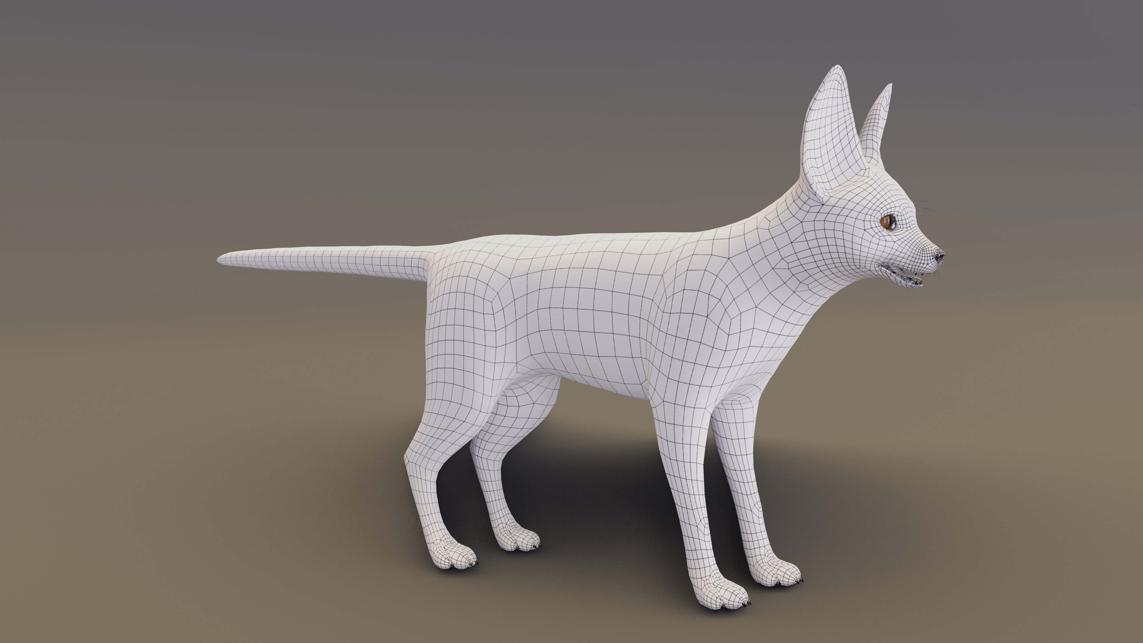 Fennec Fox Animated 3D model_12