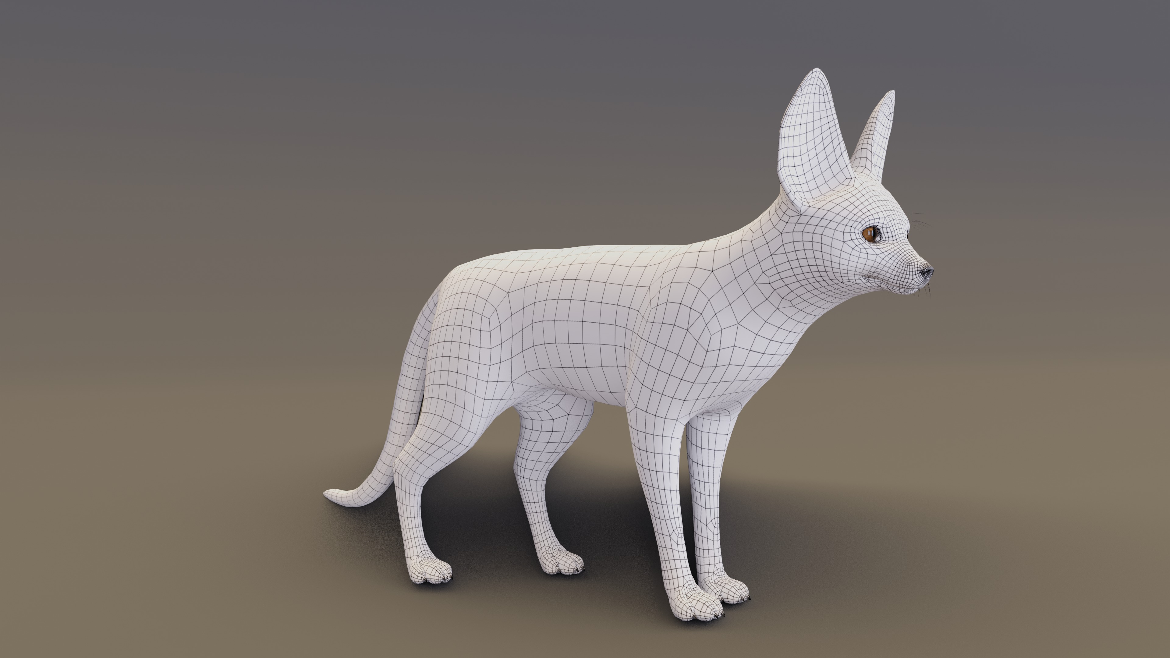 Fennec Fox Animated 3D model_11