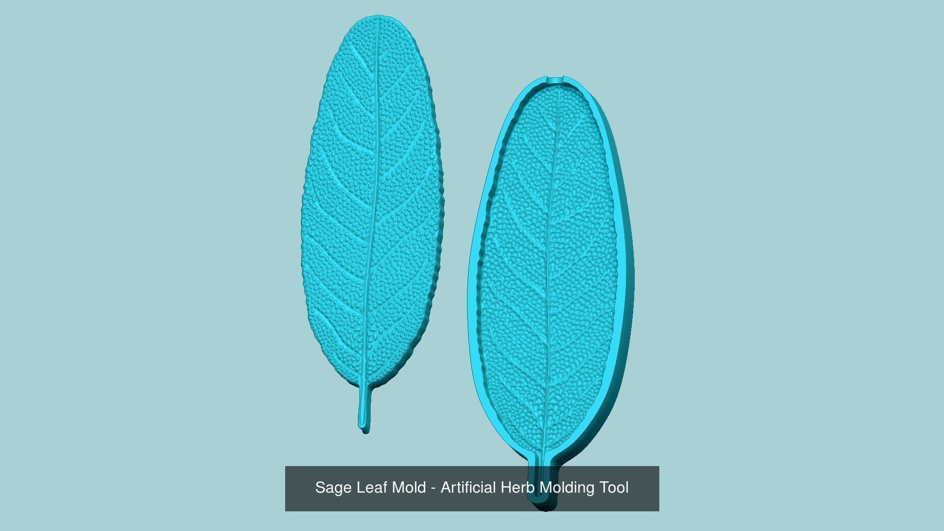 10 Culinary Herbs Leaf Molds - Artificial Molding Tools 3D Model Collection_1