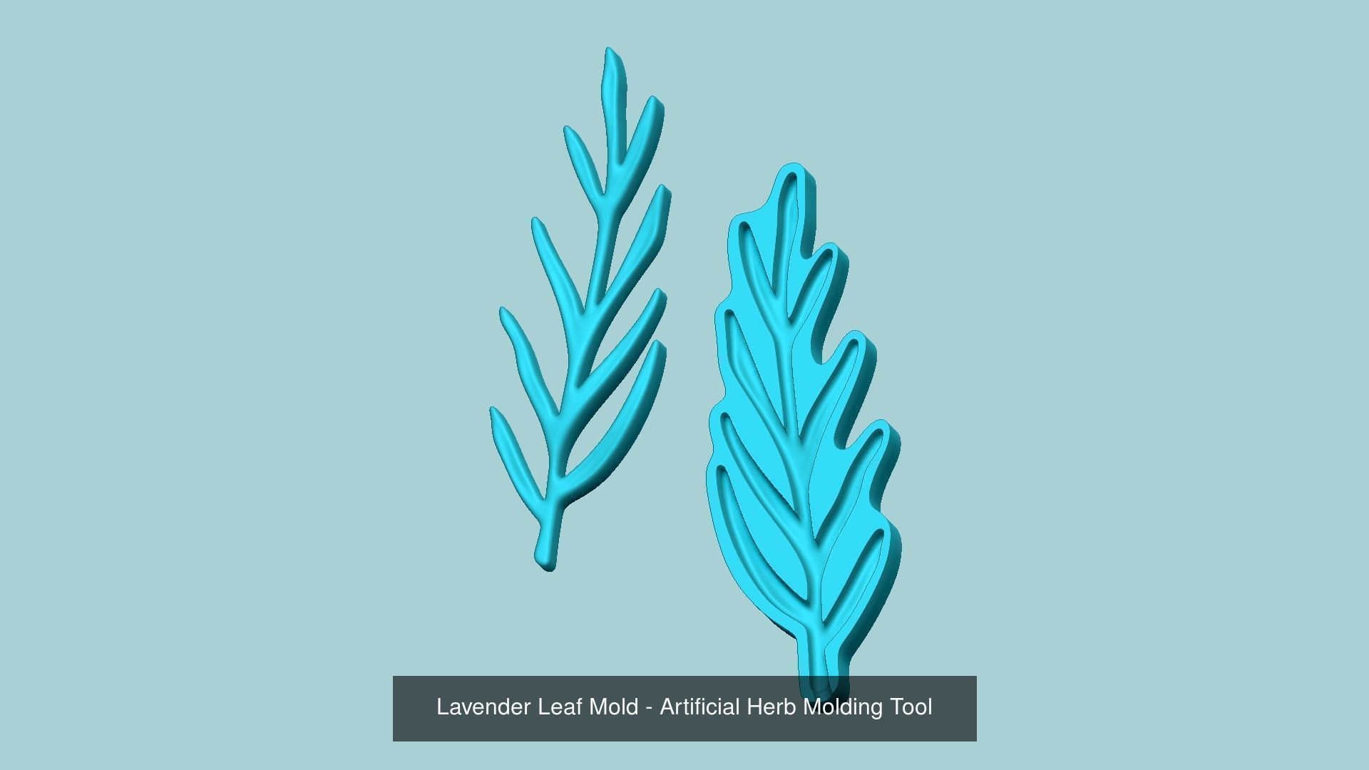 10 Culinary Herbs Leaf Molds - Artificial Molding Tools 3D Model Collection_7