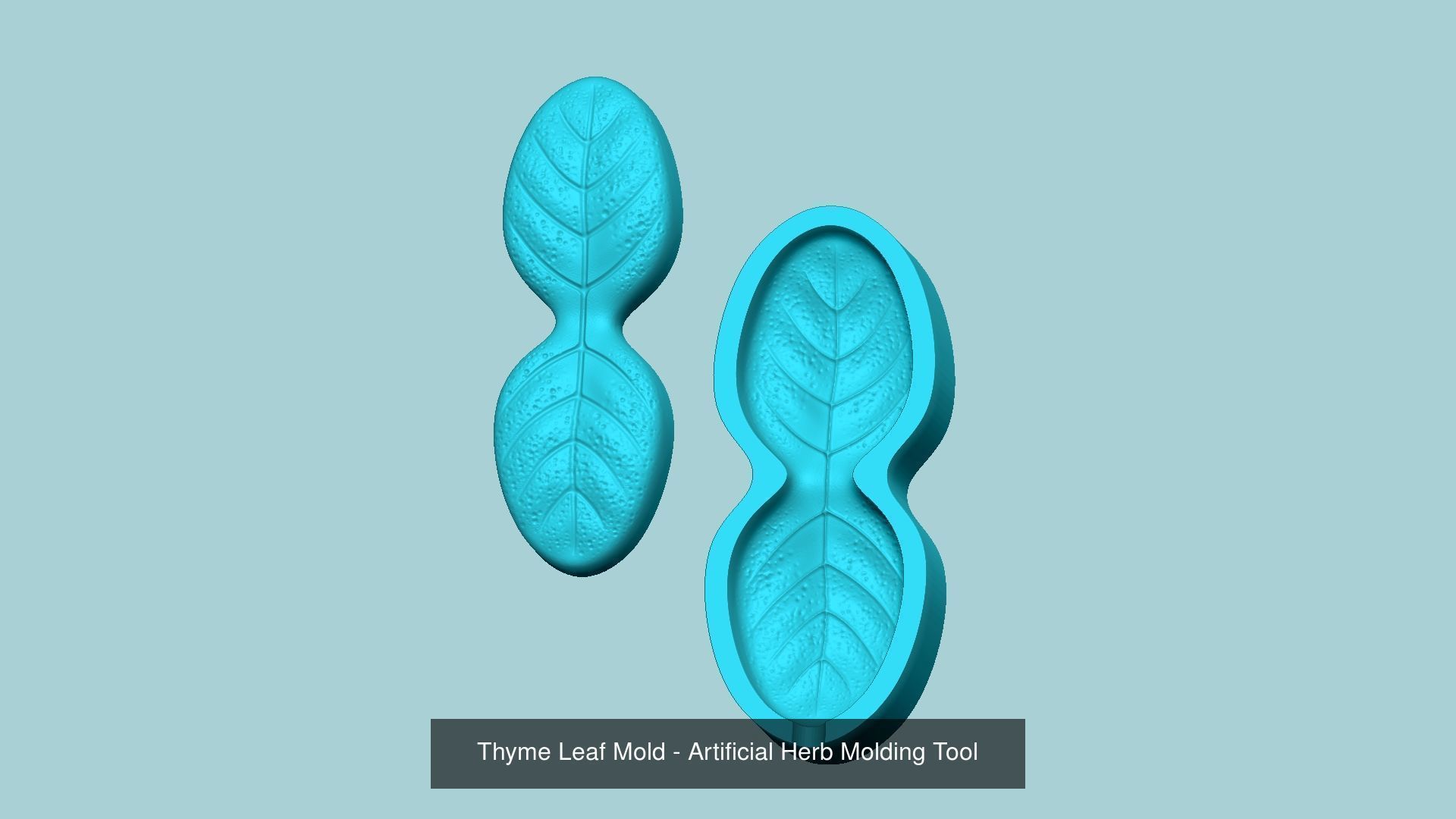 10 Culinary Herbs Leaf Molds - Artificial Molding Tools 3D Model Collection_3