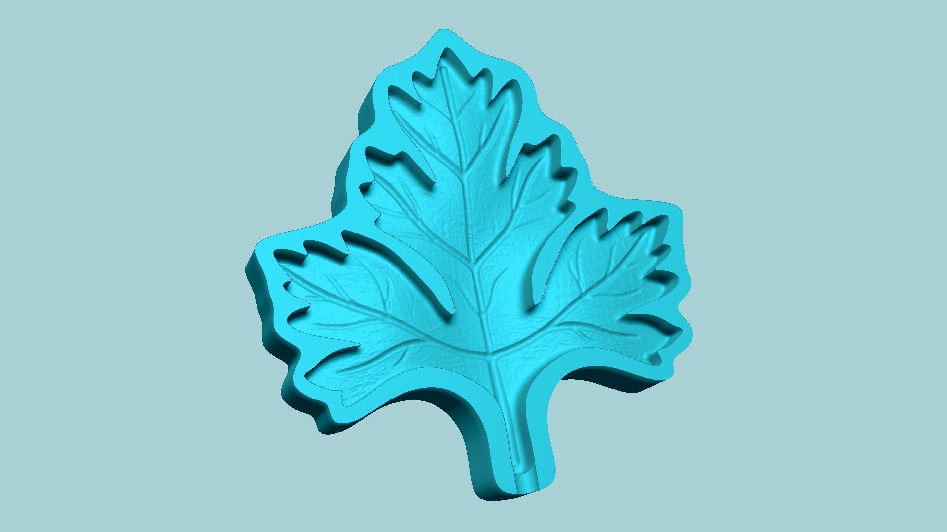10 Culinary Herbs Leaf Molds - Artificial Molding Tools 3D Model Collection_76