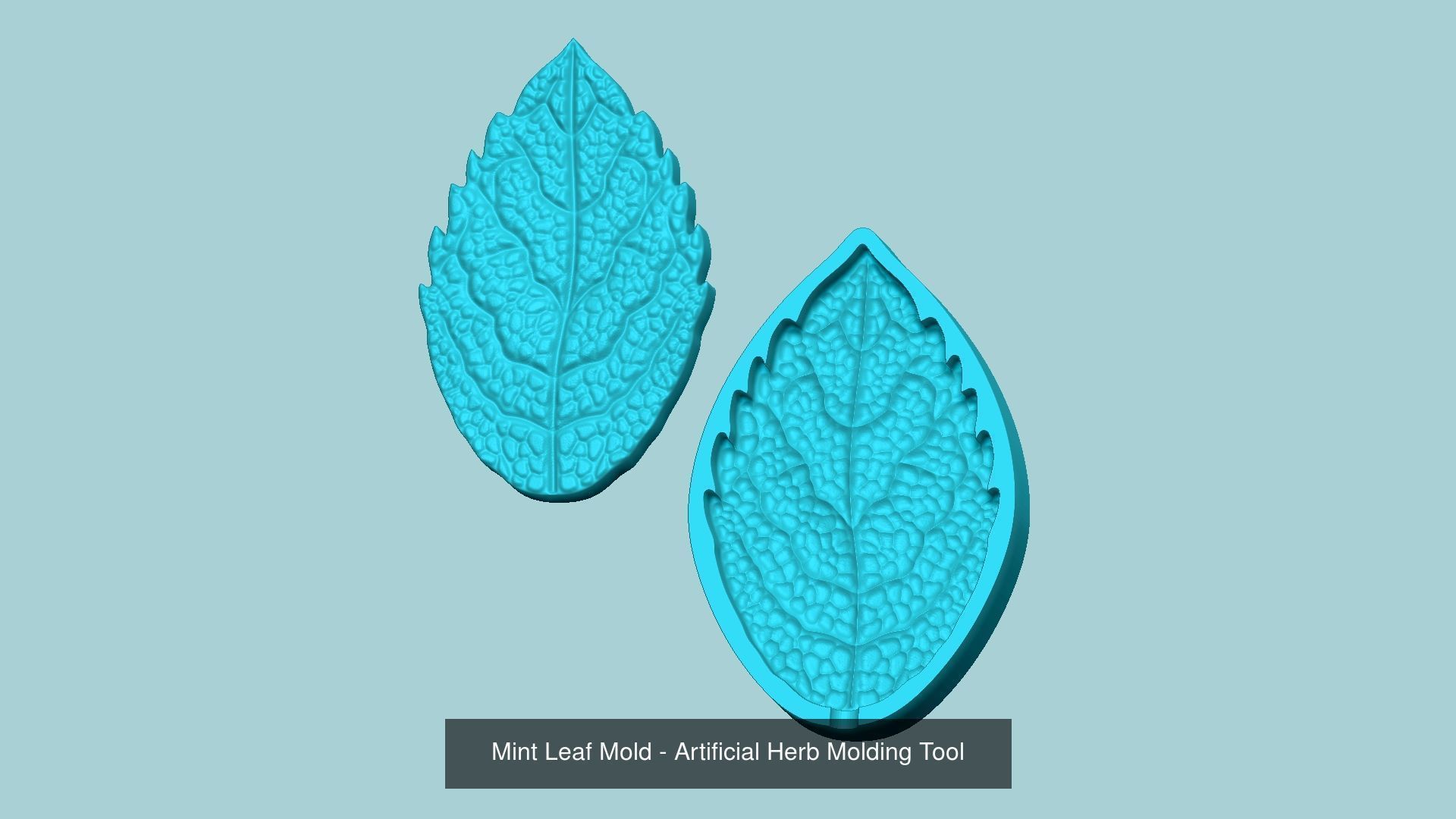 10 Culinary Herbs Leaf Molds - Artificial Molding Tools 3D Model Collection_4