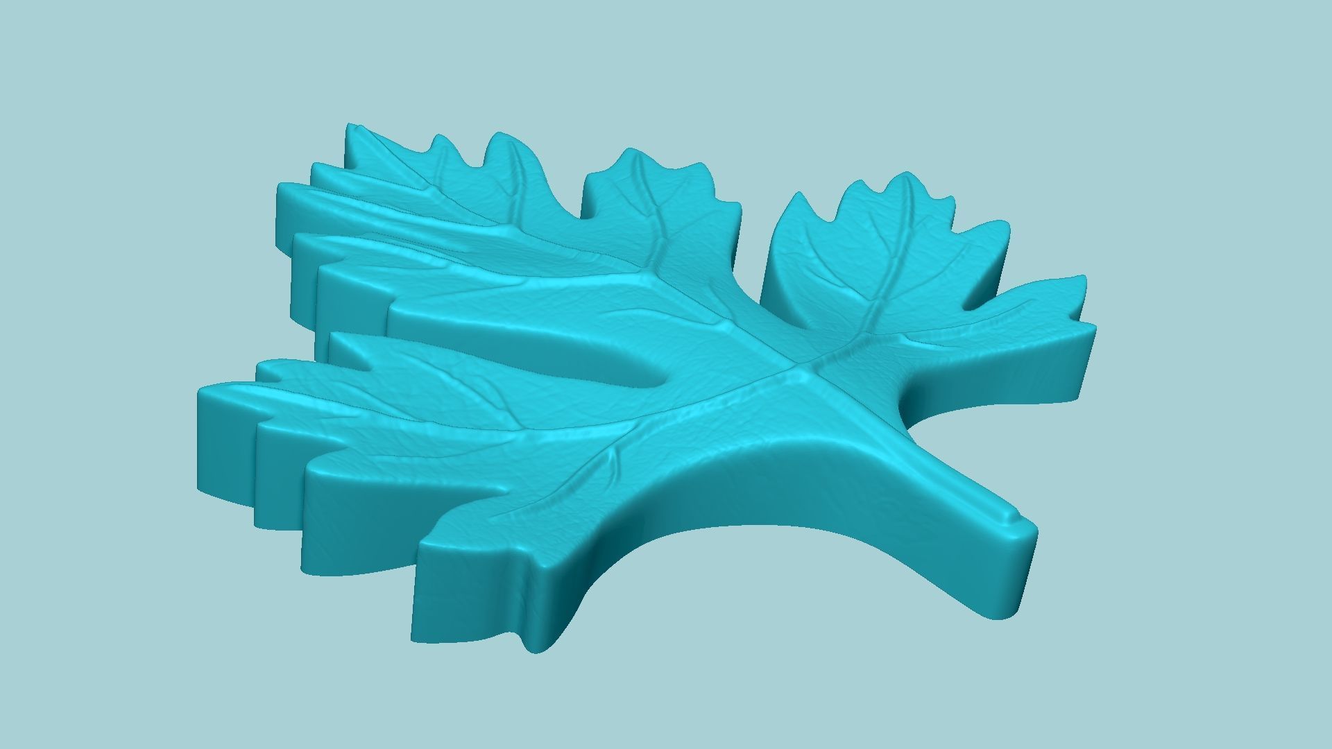 10 Culinary Herbs Leaf Molds - Artificial Molding Tools 3D Model Collection_74