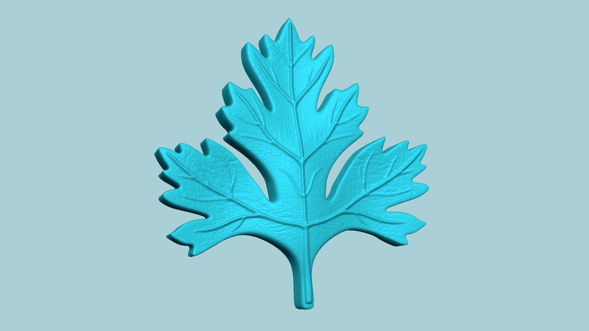 10 Culinary Herbs Leaf Molds - Artificial Molding Tools 3D Model Collection_108