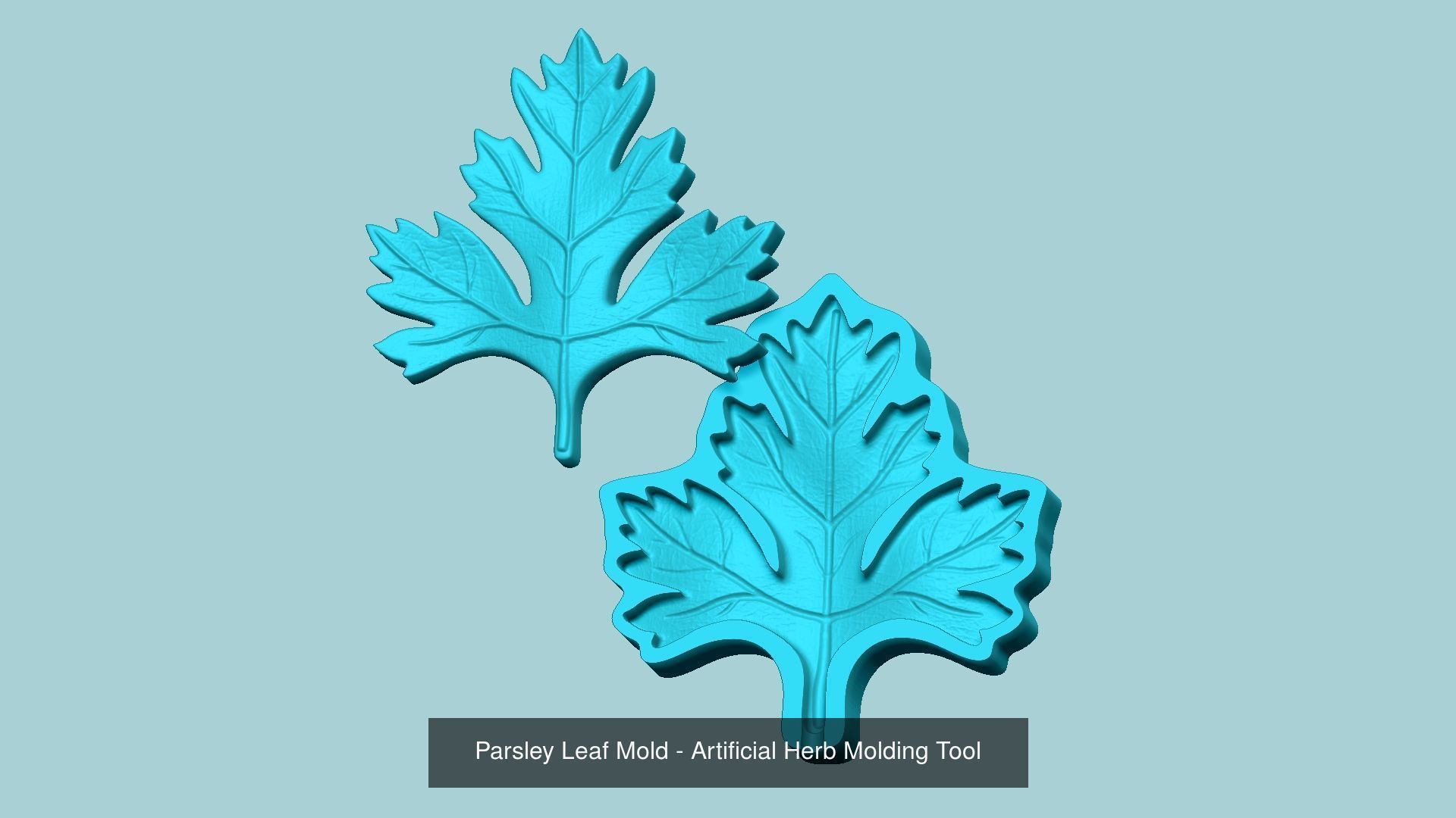 10 Culinary Herbs Leaf Molds - Artificial Molding Tools 3D Model Collection_5