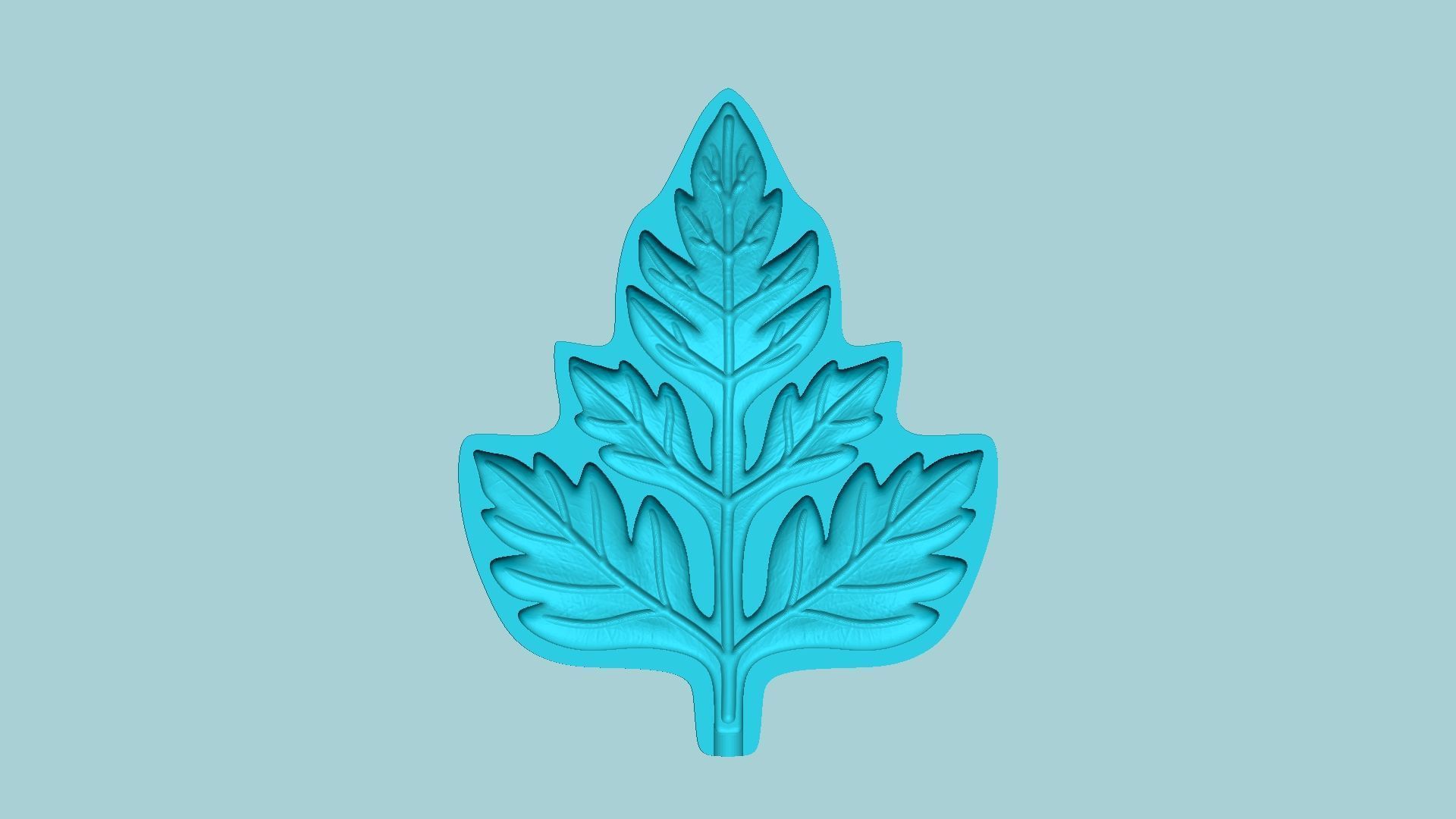 10 Culinary Herbs Leaf Molds - Artificial Molding Tools 3D Model Collection_77