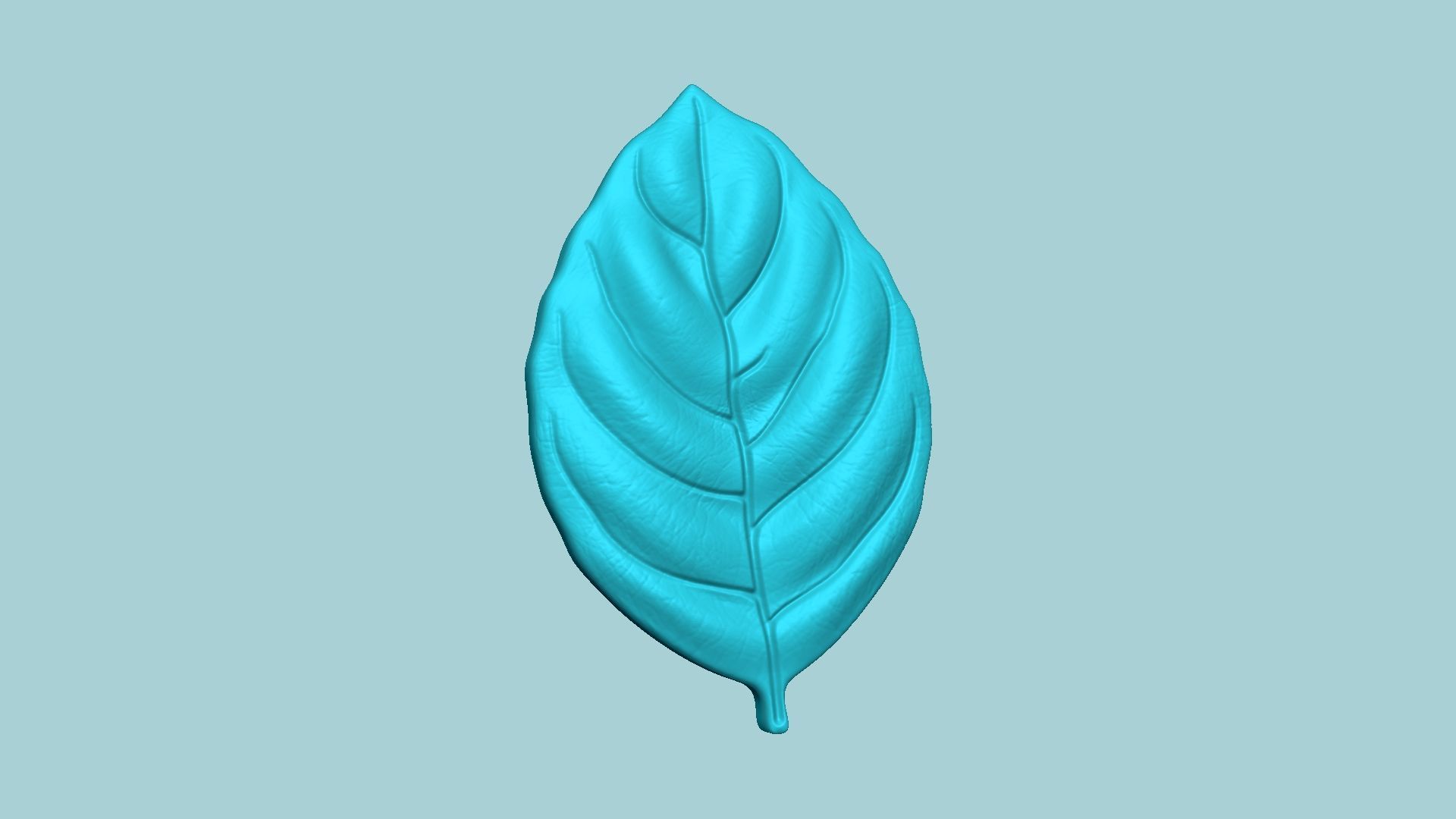 10 Culinary Herbs Leaf Molds - Artificial Molding Tools 3D Model Collection_61