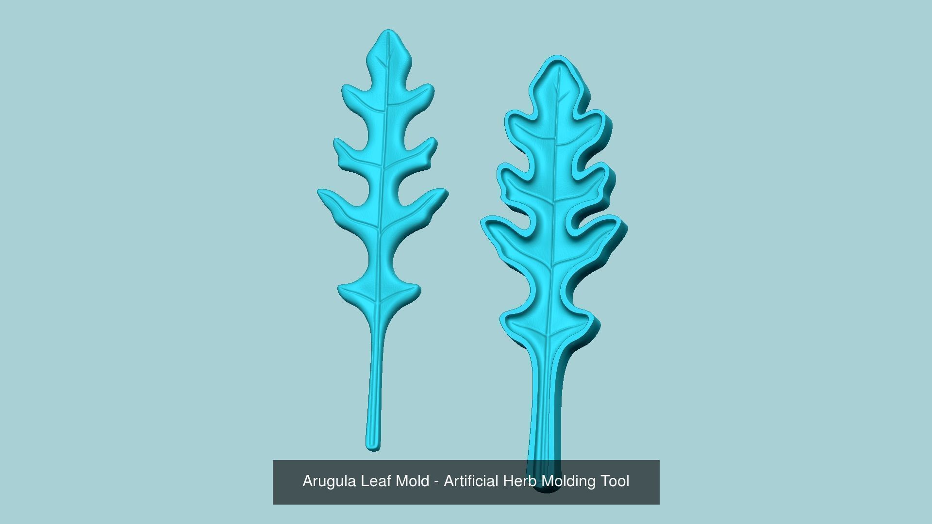 10 Culinary Herbs Leaf Molds - Artificial Molding Tools 3D Model Collection_10