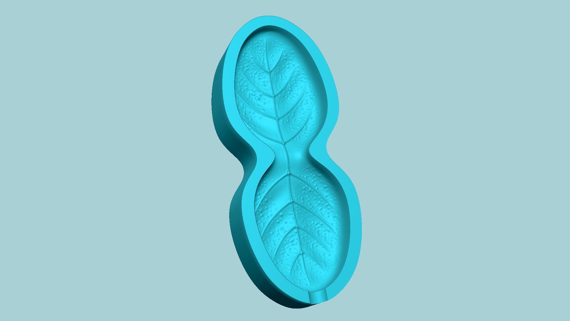 10 Culinary Herbs Leaf Molds - Artificial Molding Tools 3D Model Collection_44