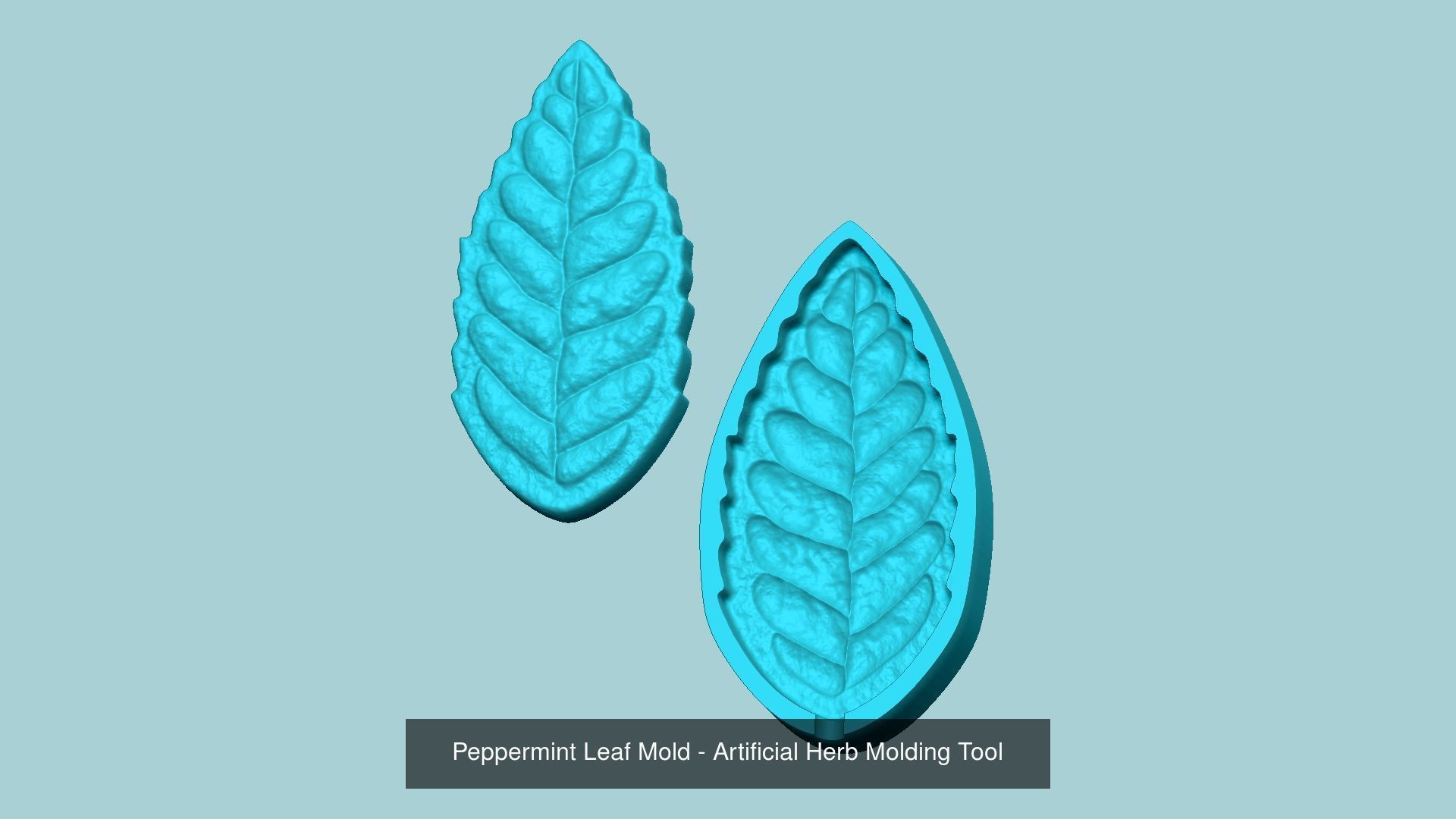 10 Culinary Herbs Leaf Molds - Artificial Molding Tools 3D Model Collection_2