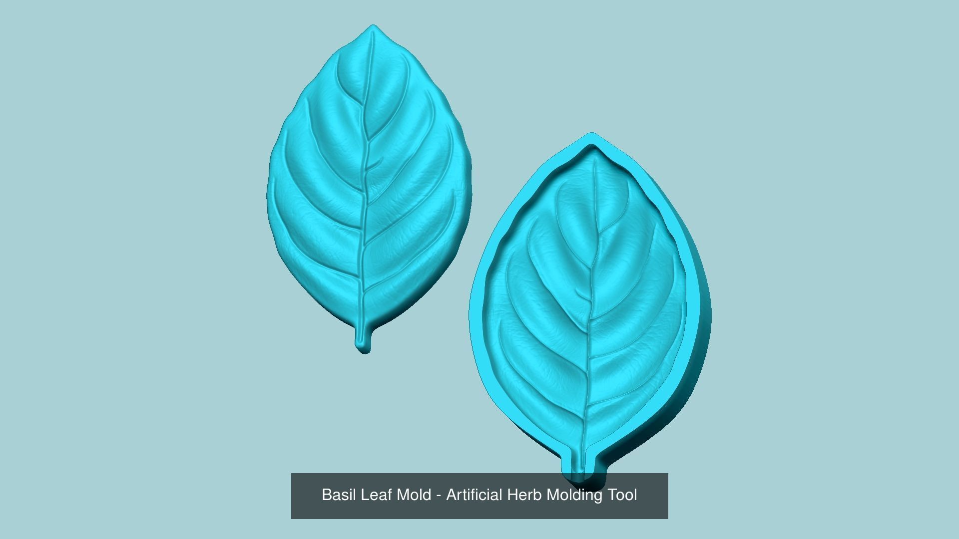 10 Culinary Herbs Leaf Molds - Artificial Molding Tools 3D Model Collection_9