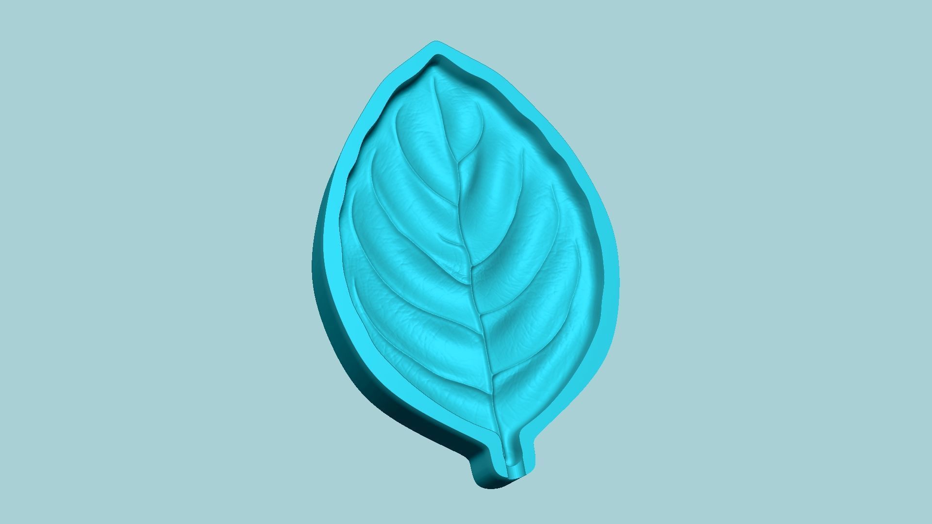 10 Culinary Herbs Leaf Molds - Artificial Molding Tools 3D Model Collection_99