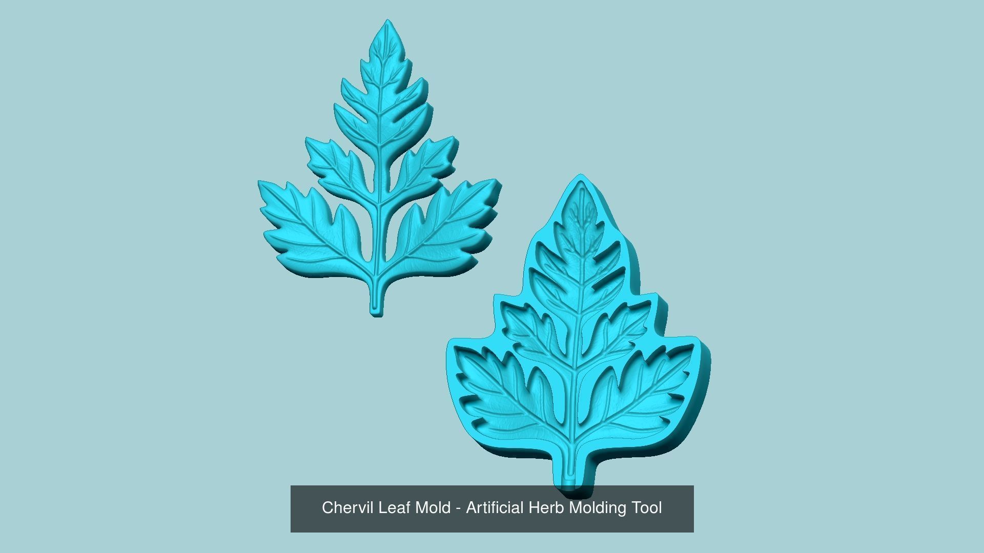 10 Culinary Herbs Leaf Molds - Artificial Molding Tools 3D Model Collection_8
