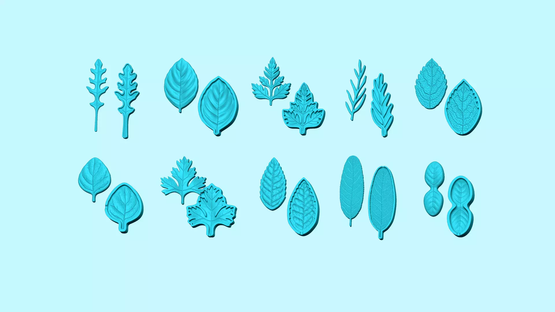 10 Culinary Herbs Leaf Molds - Artificial Molding Tools 3D Model Collection_0