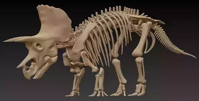 Triceratops bones - statue - 3D print 3D print model