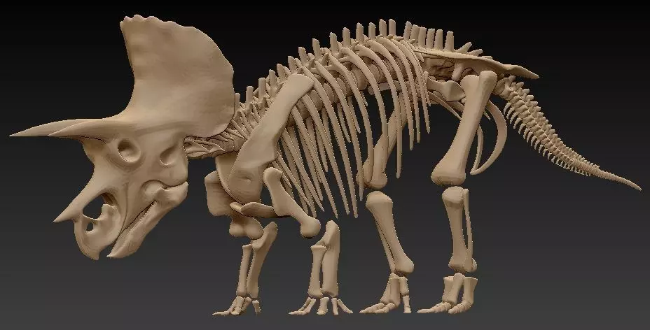 Triceratops bones - statue - 3D print 3D print model