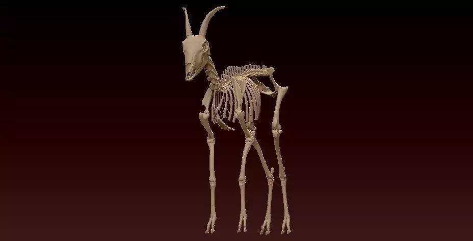 Mountain goat skeleton- statue - 3D print 3D print model