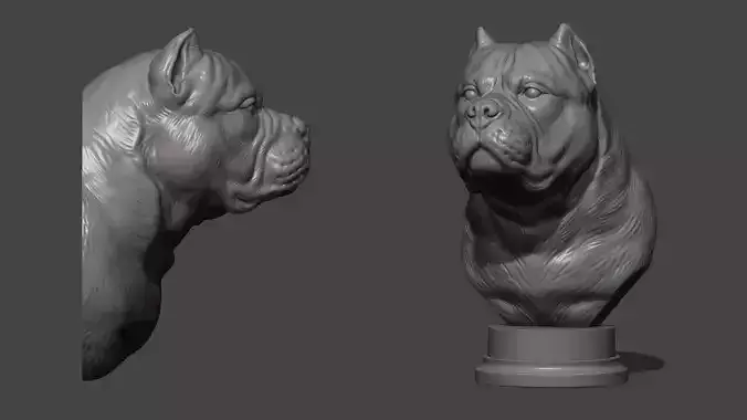 American bully bust 3D print model
