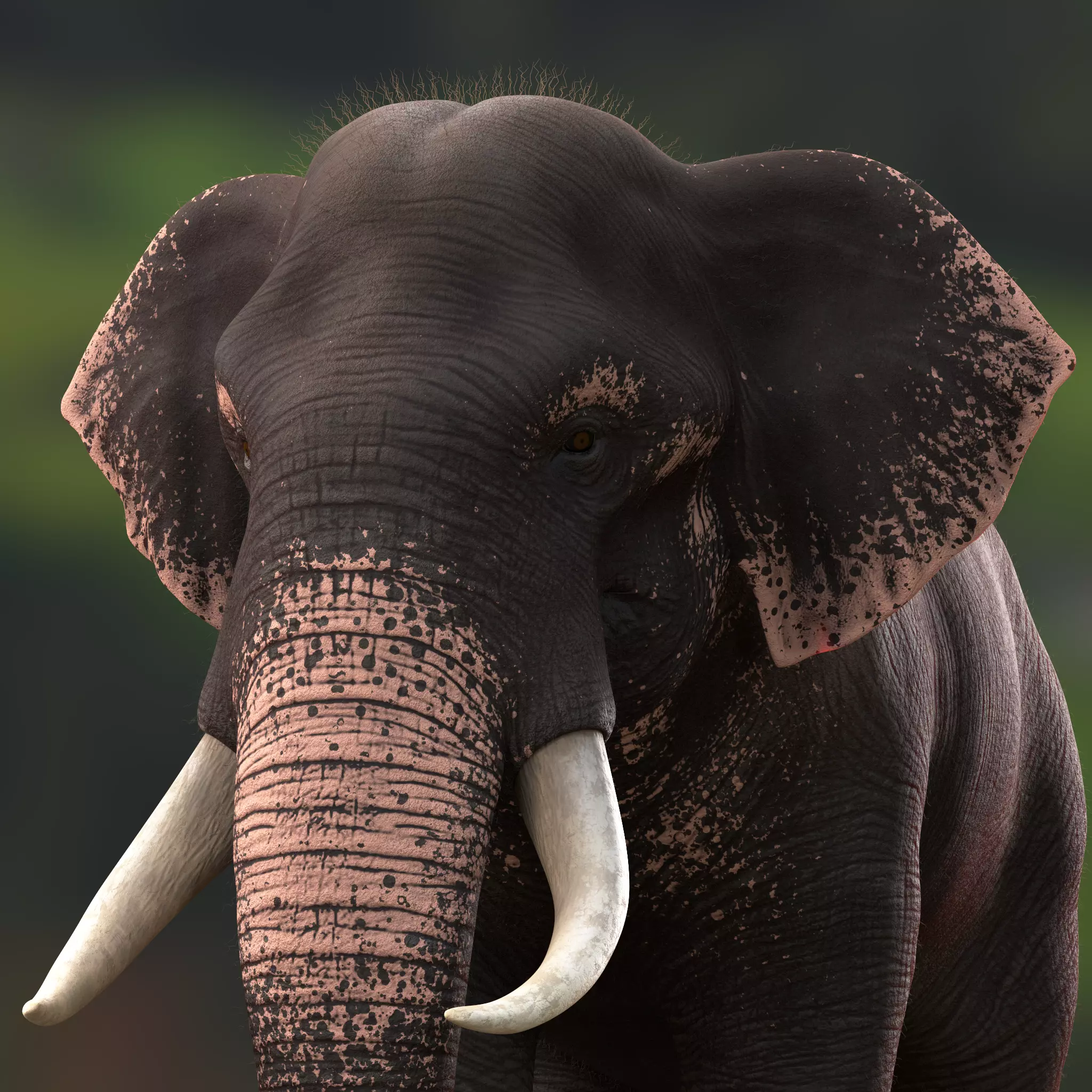 Asian Elephant Rig Maya Low-poly 3D model_0