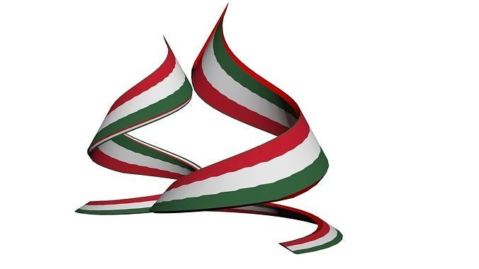 Hungary Flag Helix 3D model