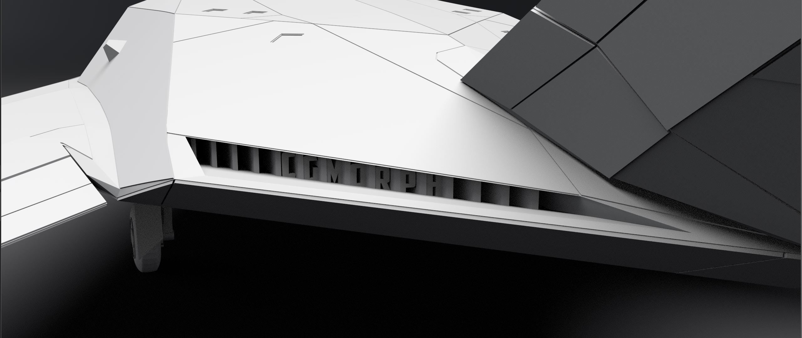 F117 Nighthawk Scale model  3D print model_2